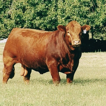 Generic placeholder image