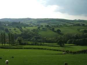 Generic placeholder image